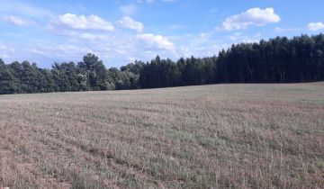 Działka rekreacyjna Dźwierszno Małe