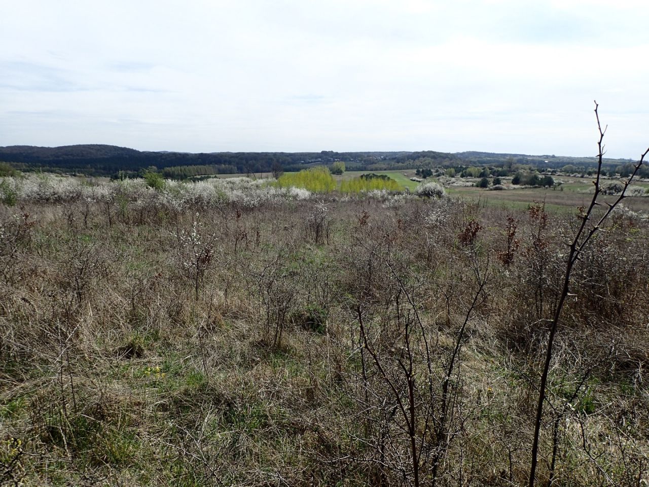 Działka rolna Siedlec. Zdjęcie 4