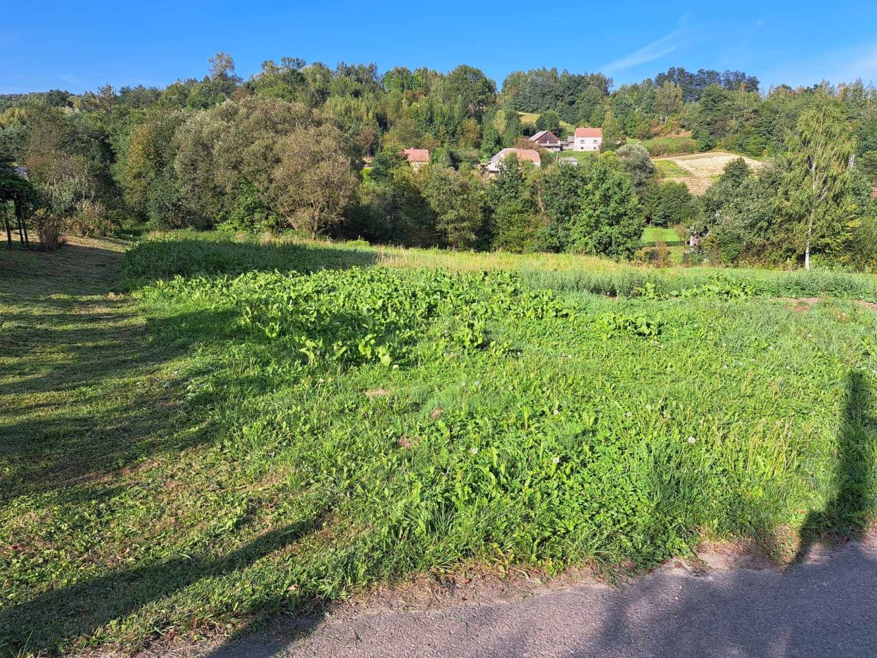 Działka rolno-budowlana Nawsie. Zdjęcie 9