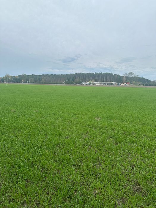 Działka budowlana Grójec Mały. Zdjęcie 3