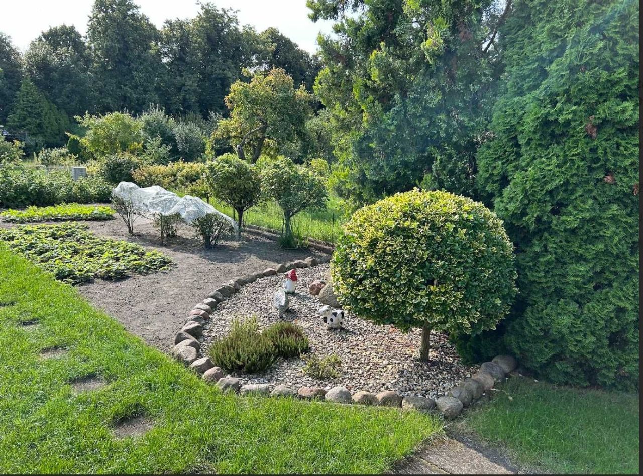 Działka rod Krotoszyn, ul. Zamkowa. Zdjęcie 5