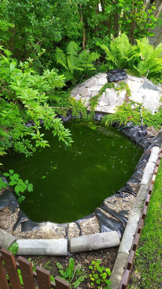 Działka rod Blachownia, ul. Cmentarna. Zdjęcie 2