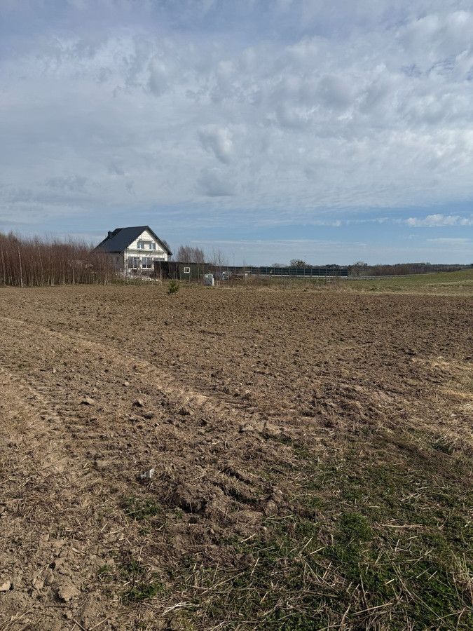 Działka rolno-budowlana Królikowo. Zdjęcie 3