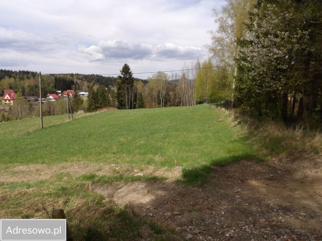 Działka budowlana Wysoka. Zdjęcie 1