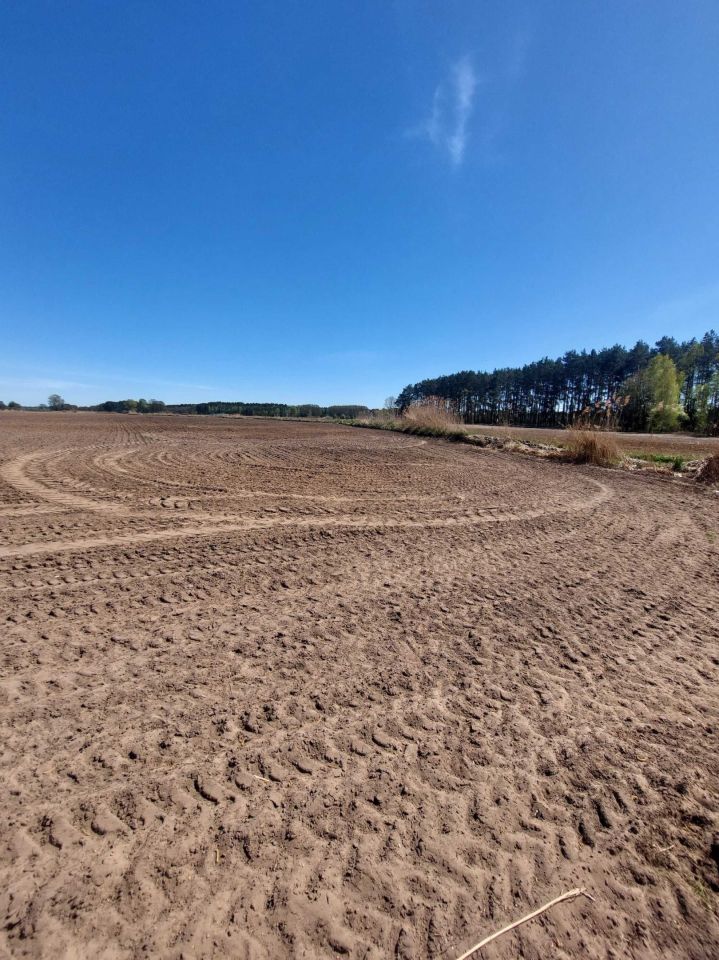 Działka rolna Sarbia. Zdjęcie 3