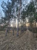 Działka budowlana Dokudów Drugi. Zdjęcie 1