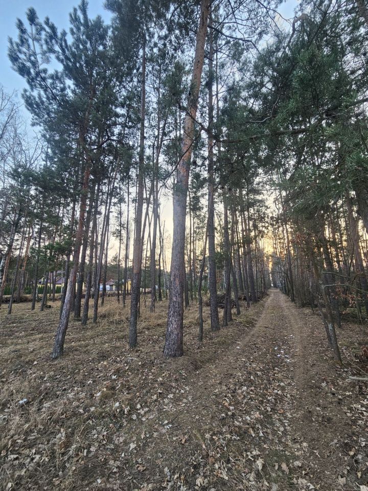 Działka budowlana Dokudów Drugi. Zdjęcie 2