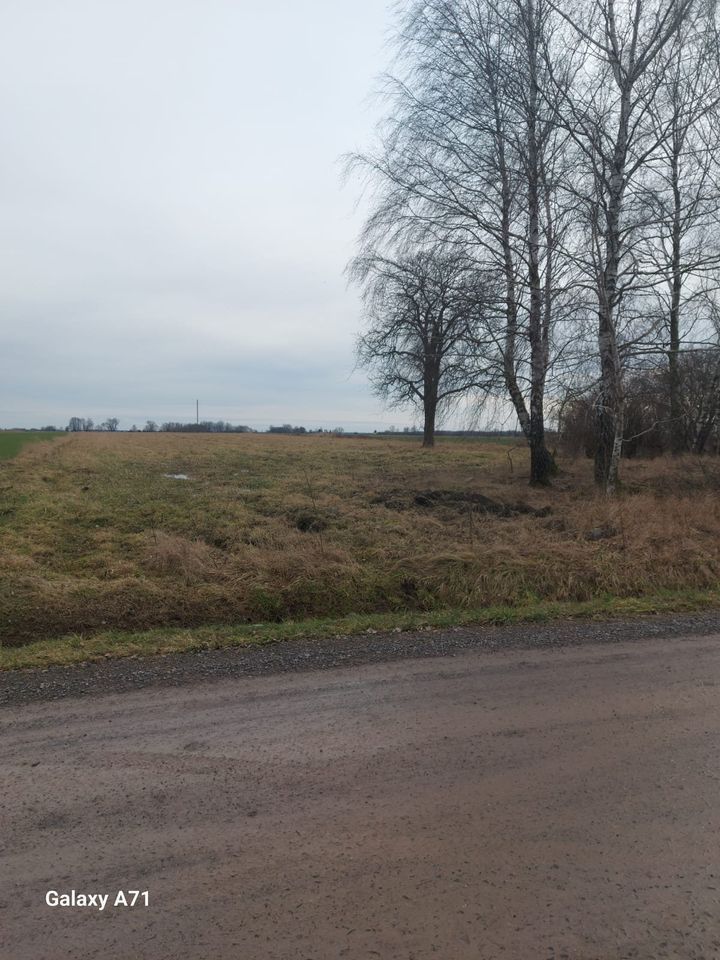 Działka budowlana Nowa Wola. Zdjęcie 3