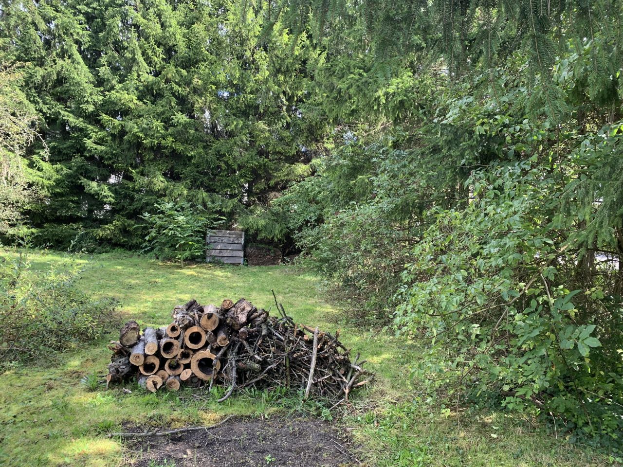 Działka budowlana Czerwonak, ul. Podgórna. Zdjęcie 5