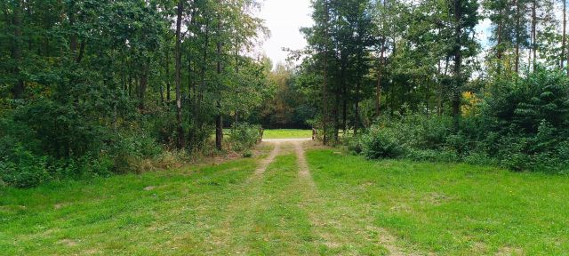 Działka rekreacyjna Budy Grabskie. Zdjęcie 1