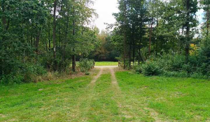 Działka rekreacyjna Budy Grabskie