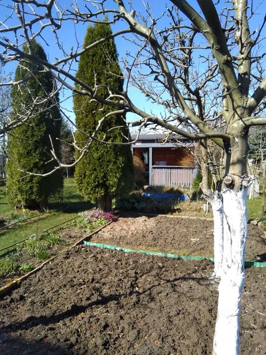 Działka rod Bierkowo. Zdjęcie 3