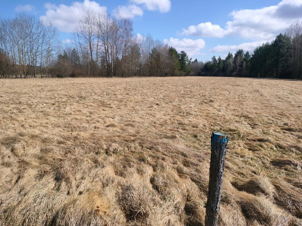 Działka rolna Jabłonka. Zdjęcie 2