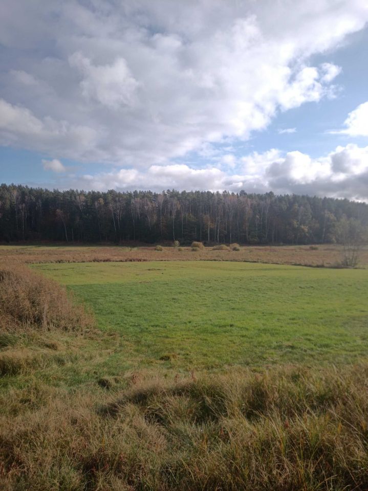 Działka rolna Osie. Zdjęcie 3