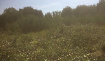 Działka rolna Kleszczewo, ul. Spokojna