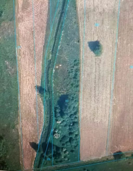 Działka rolna Dzierżenin. Zdjęcie 2