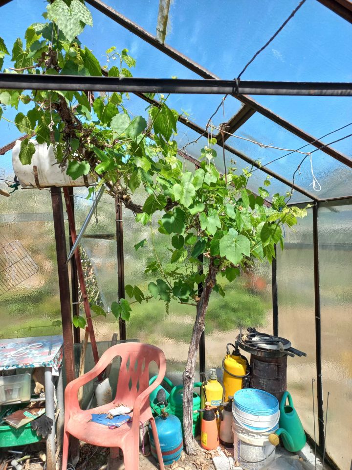 Działka rod Koszalin. Zdjęcie 5