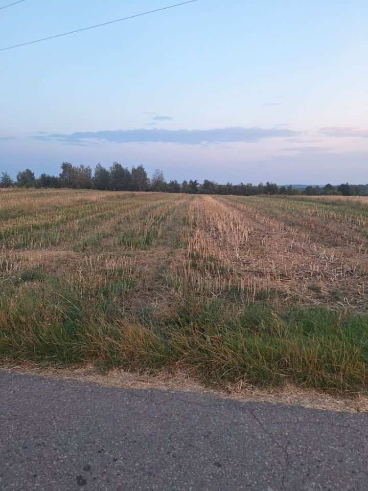 Działka budowlana Godów. Zdjęcie 1