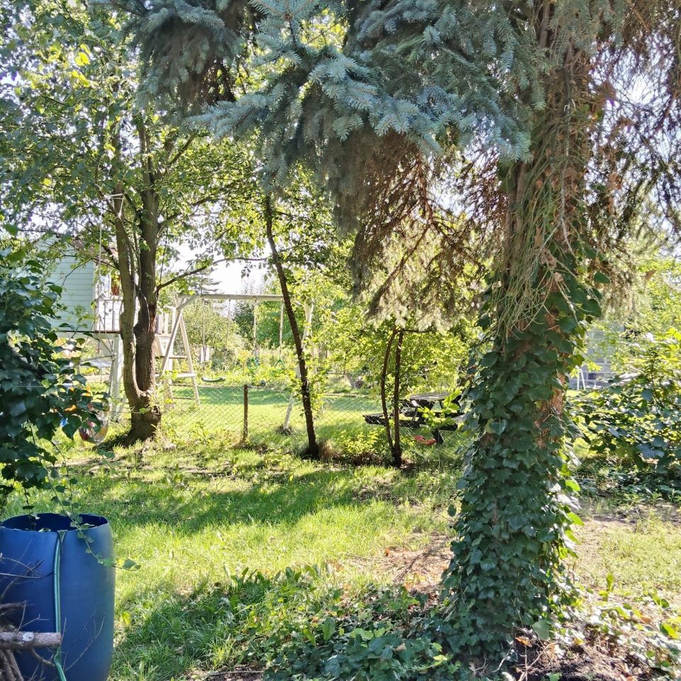 Działka rod Wrocław Szczepin, ul. Długa. Zdjęcie 5