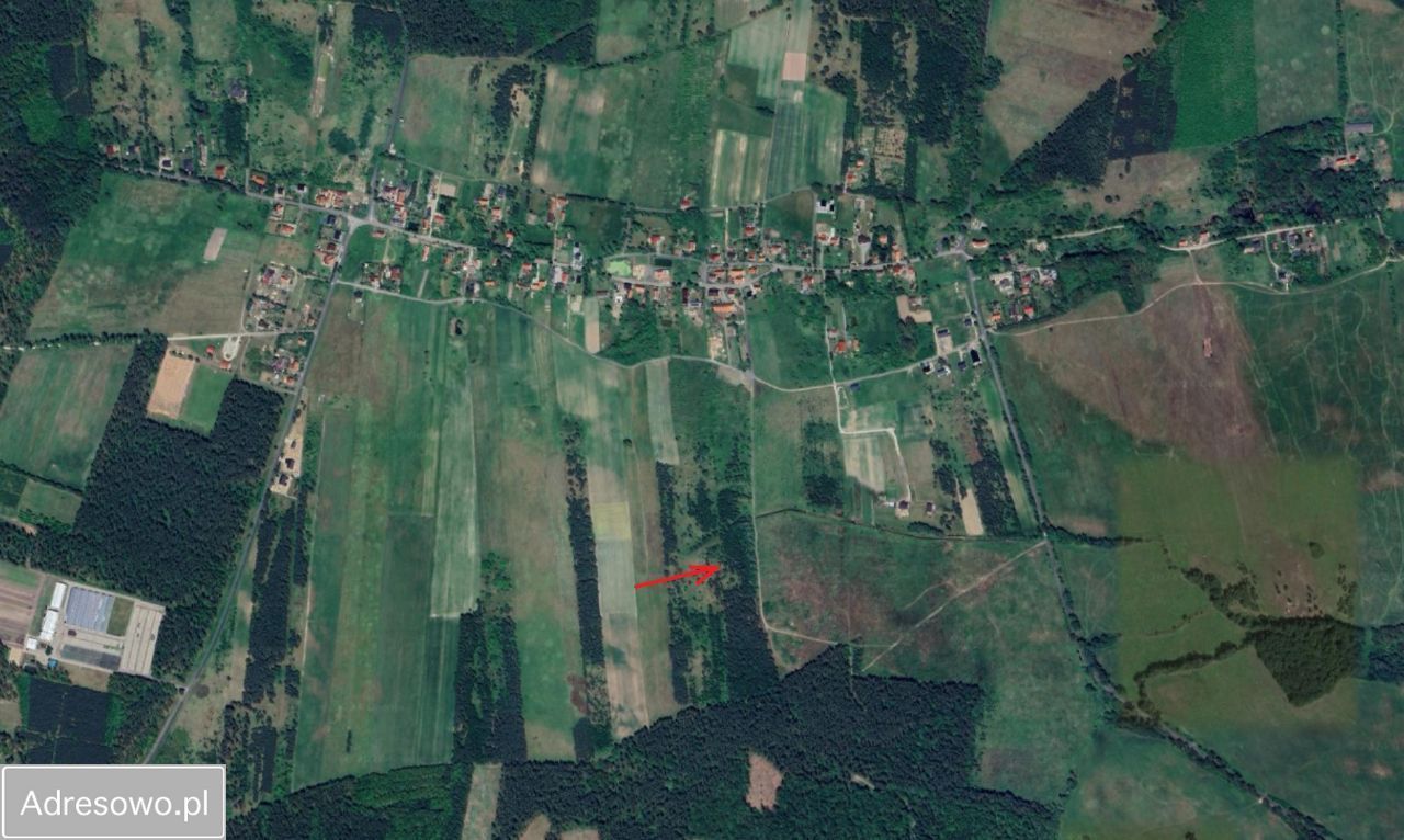 Działka rolna Miłogostowice. Zdjęcie 4