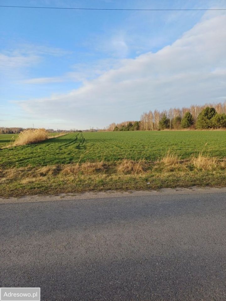 Działka budowlana Rozalin. Zdjęcie 6