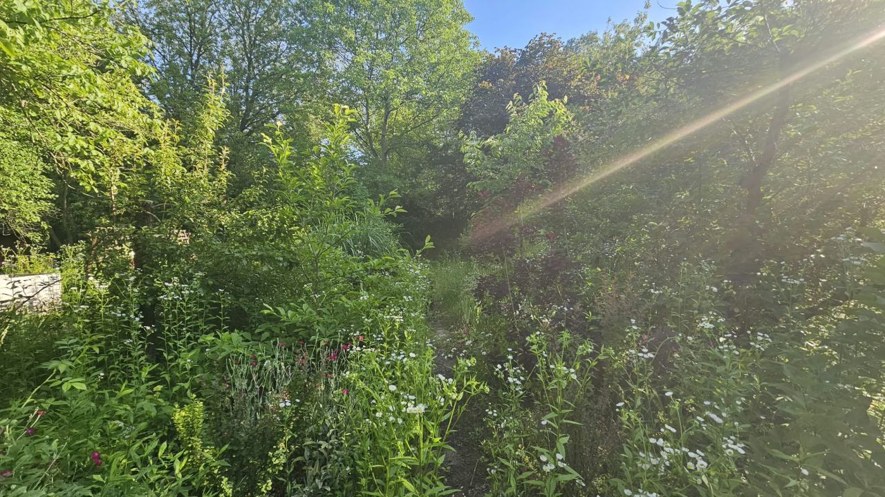 Działka rod Warszawa Mokotów, ul. Piaskarzy. Zdjęcie 5