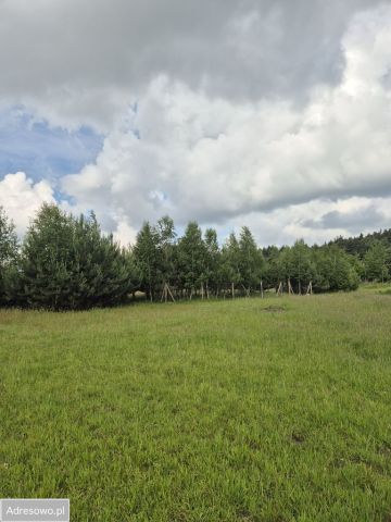 Działka rolna Szamotuły, ul. Obornicka. Zdjęcie 1