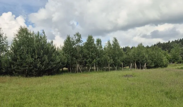 Działka rolna Szamotuły, ul. Obornicka