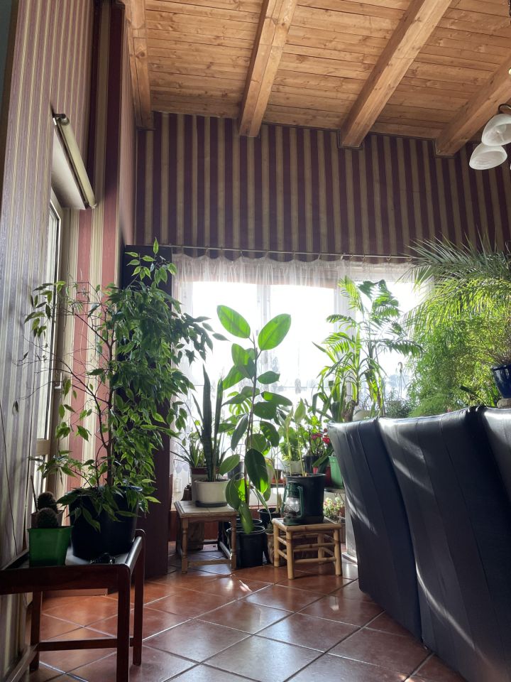 dom wolnostojący, 4 pokoje Drawsko Pomorskie, ul. Jeziorna. Zdjęcie 7