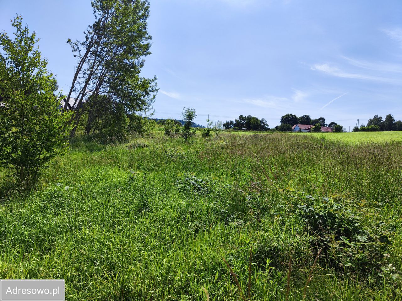 Działka budowlana Dzikowiec. Zdjęcie 18