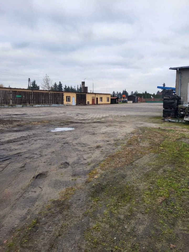 Nieruchomość komercyjna Miłosław, ul. Pałczyńska. Zdjęcie 2