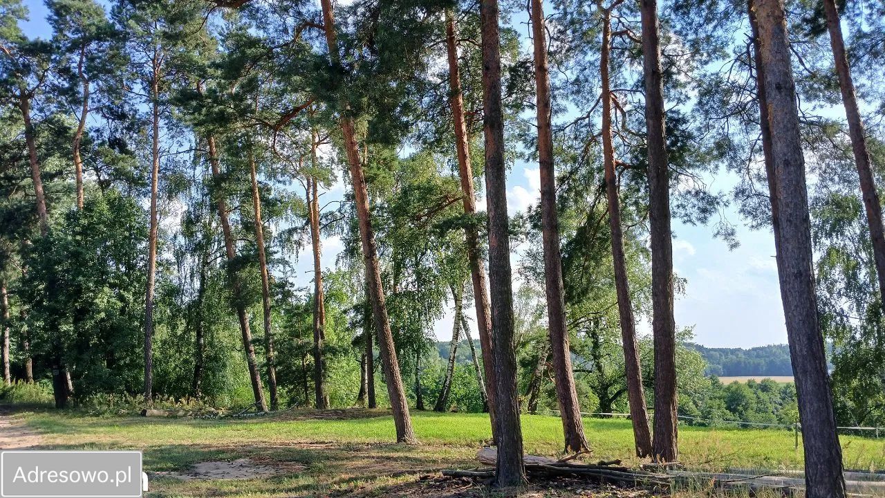 Działka rolno-budowlana Grodnia. Zdjęcie 8