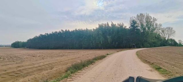Działka Słowik. Zdjęcie 1