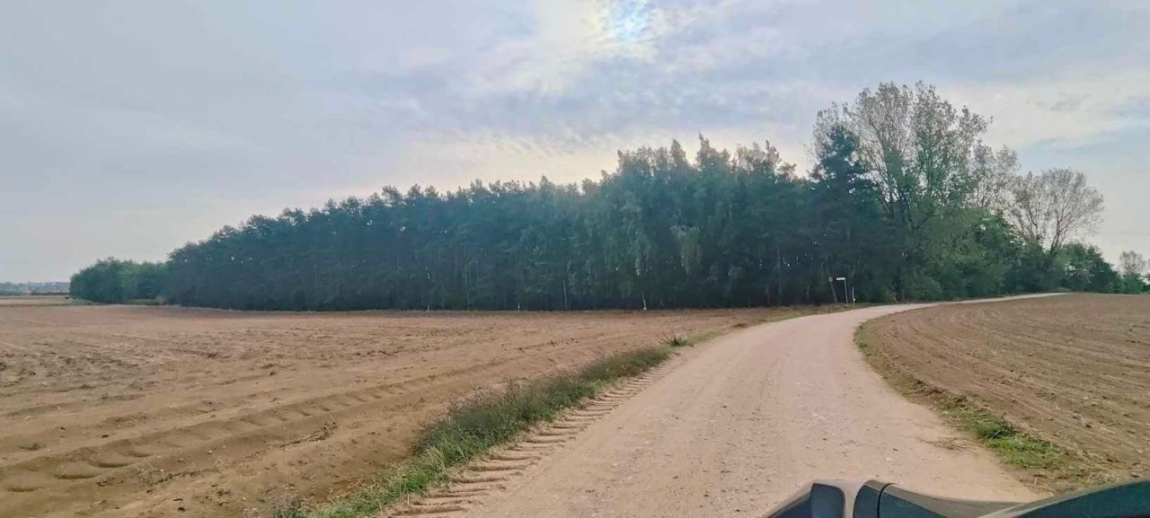 Działka Słowik. Zdjęcie 1