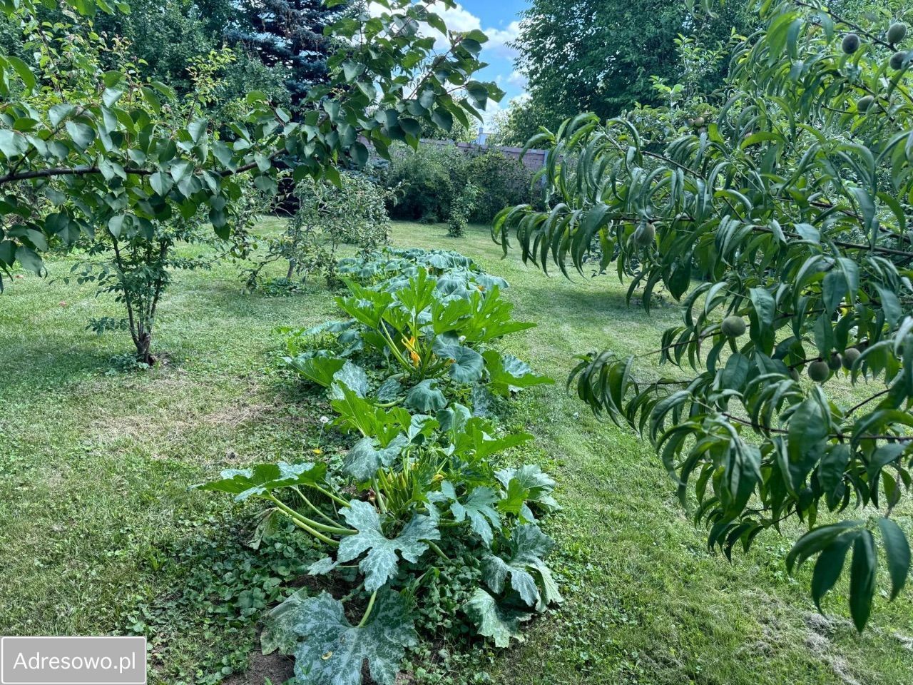 dom wolnostojący, 5 pokoi Ełk Zatorze, ul. Śląska. Zdjęcie 13