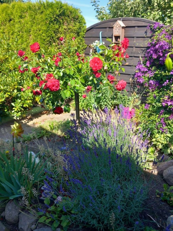 Działka rod Kamień Pomorski. Zdjęcie 6