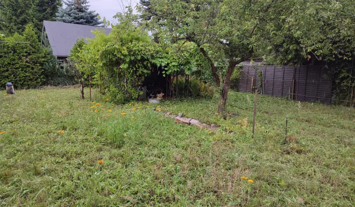 Działka rod Warszawa Paluch, ul. Ogrodników