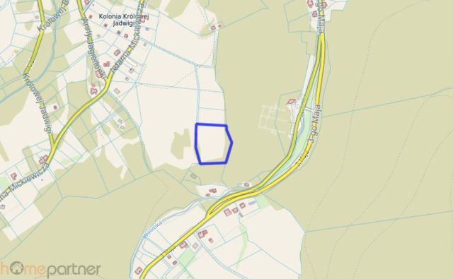 Działka rolna Walim, ul. Adama Mickiewicza. Zdjęcie 3