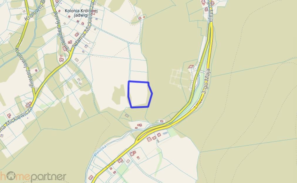 Działka rolna Walim, ul. Adama Mickiewicza. Zdjęcie 3