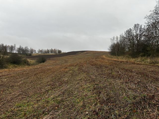 Działka siedliskowa Gostków. Zdjęcie 1