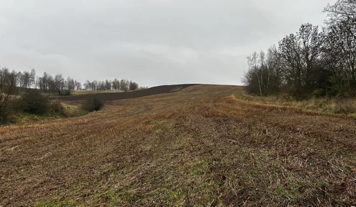 Działka siedliskowa Gostków