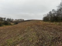 Działka siedliskowa Gostków