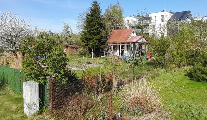 Działka rod Kielce, ul. Wrzosowa