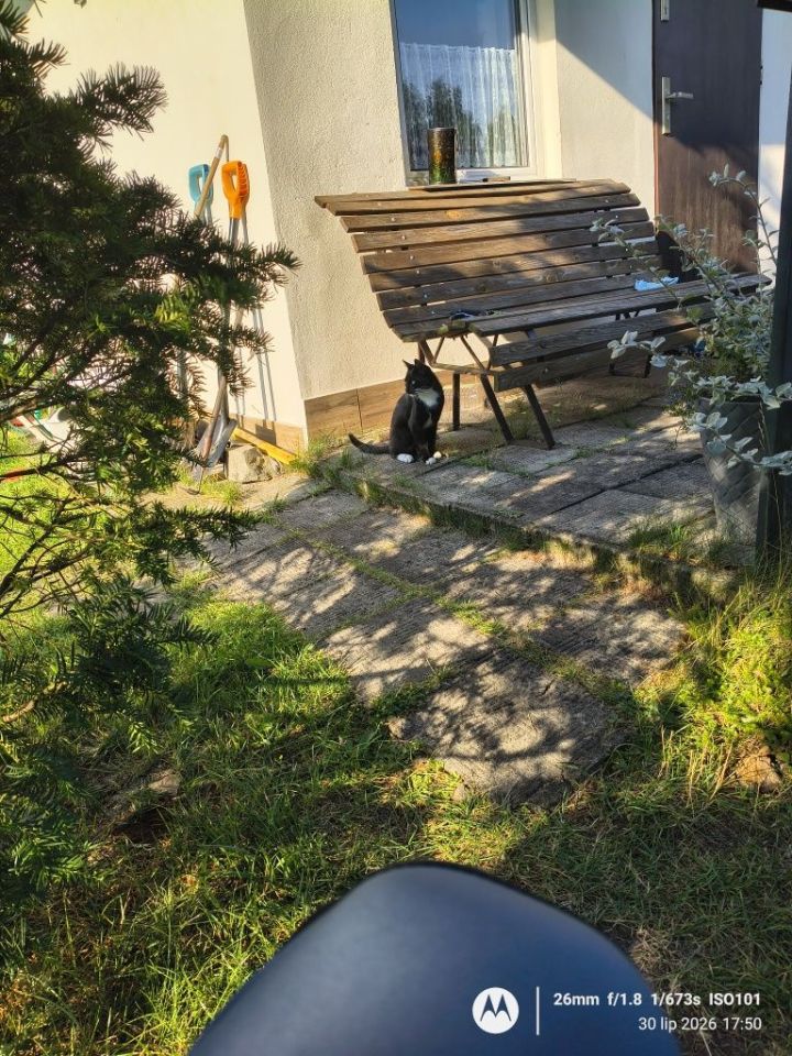 Działka rod Lisi Ogon. Zdjęcie 7