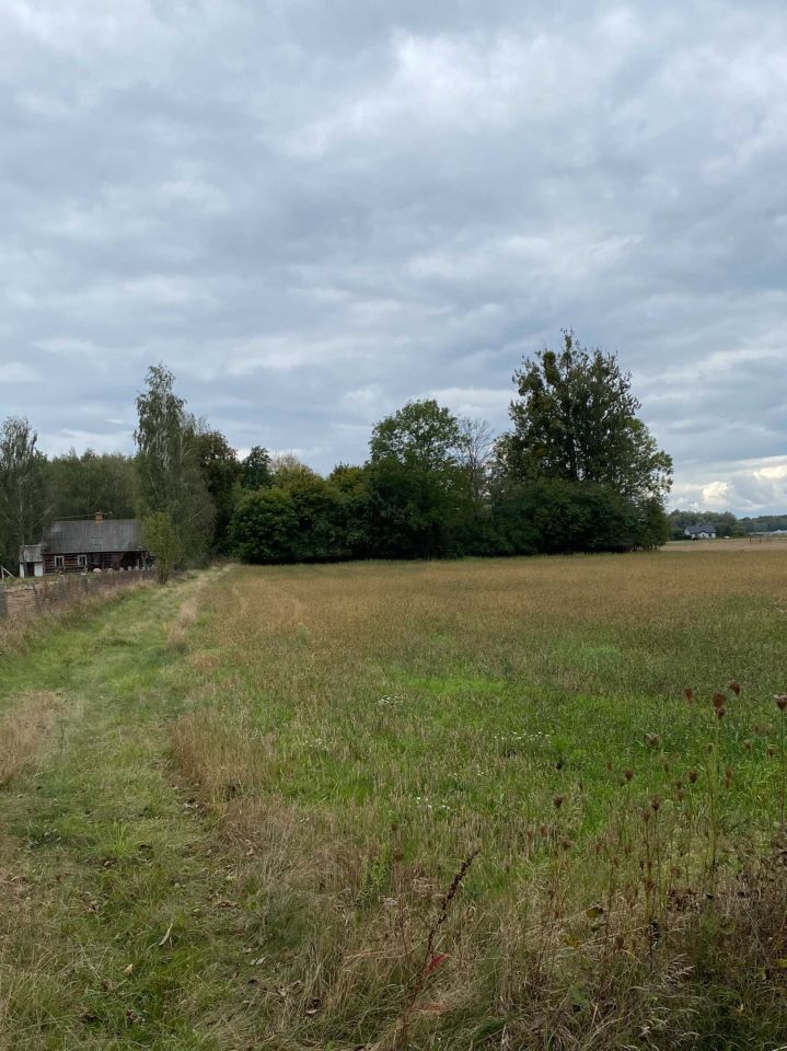 Działka siedliskowa Łózki. Zdjęcie 2
