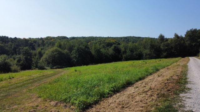 Działka budowlana Nowy Borek. Zdjęcie 6