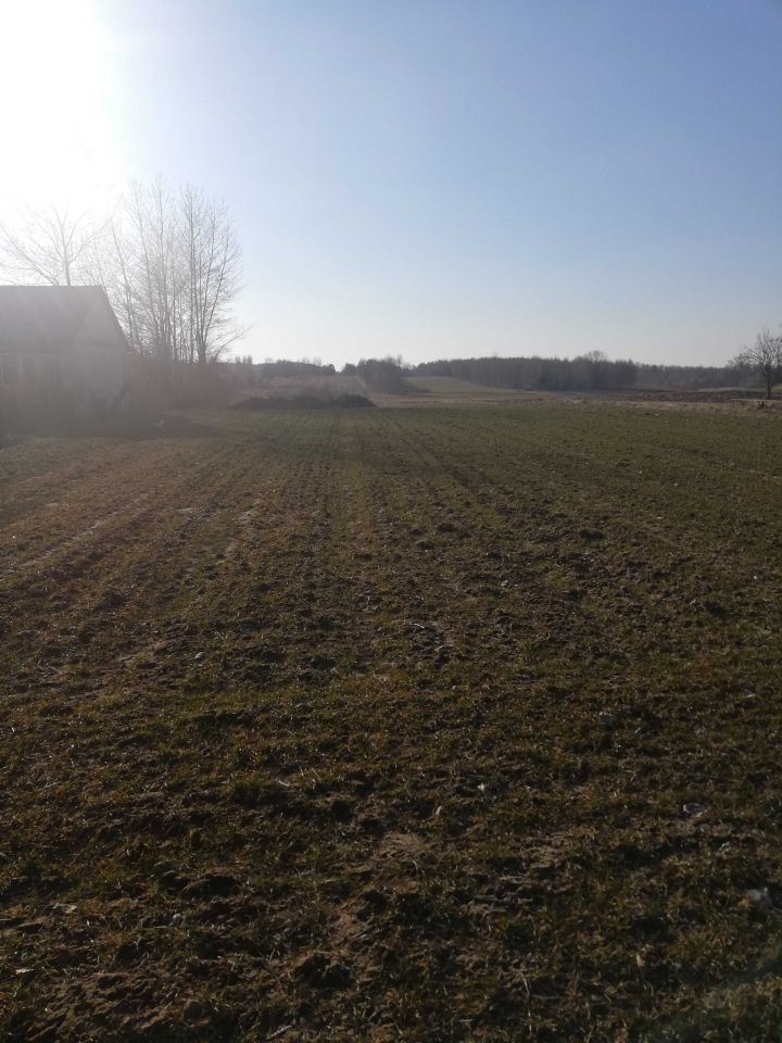 Działka budowlana Dębówka. Zdjęcie 6