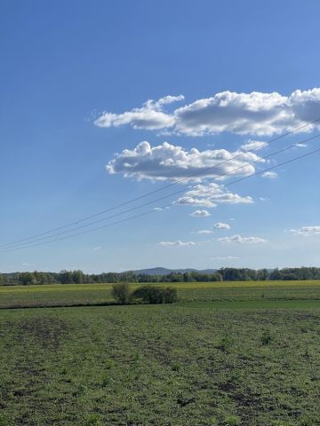 Działka budowlana Wiązów. Zdjęcie 1
