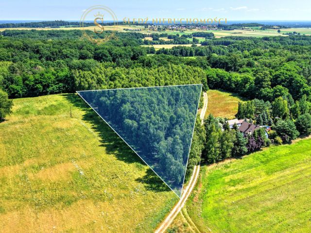 Działka budowlana Proszkowa. Zdjęcie 6