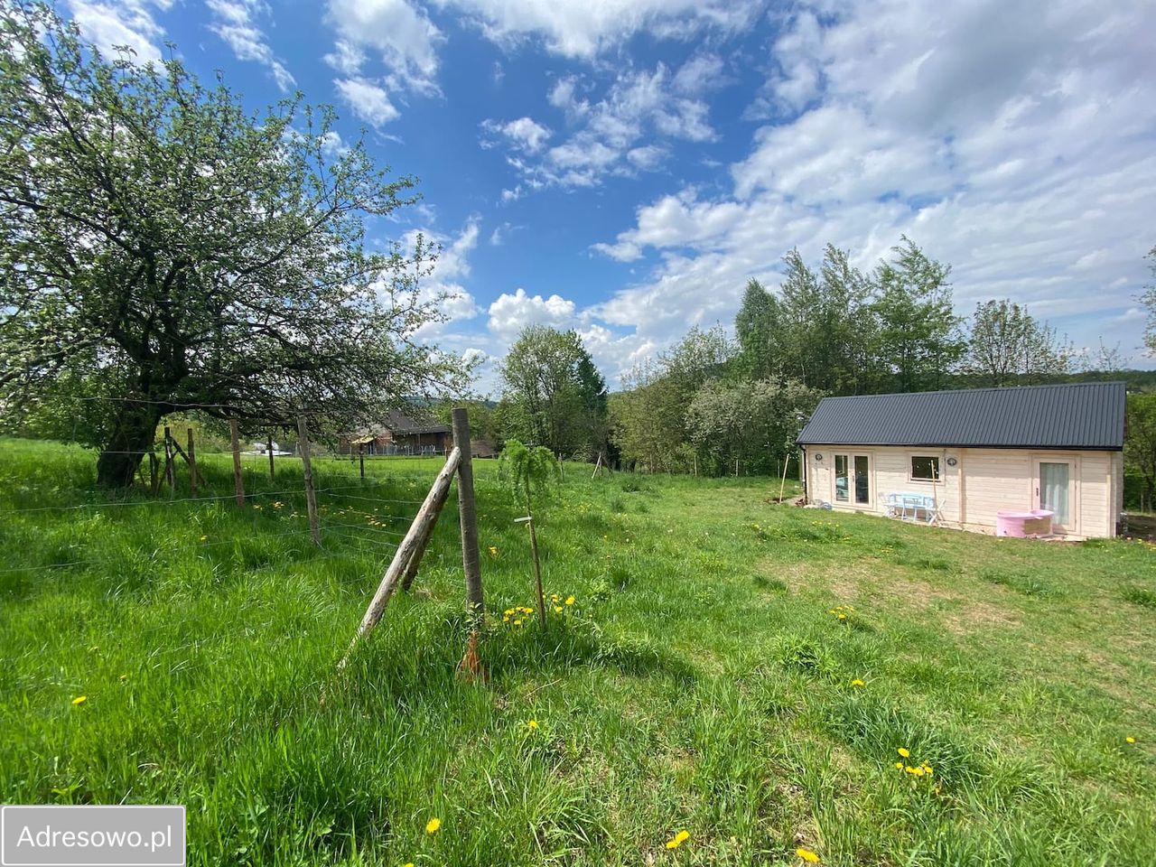 dom letniskowy, 2 pokoje Brody. Zdjęcie 3